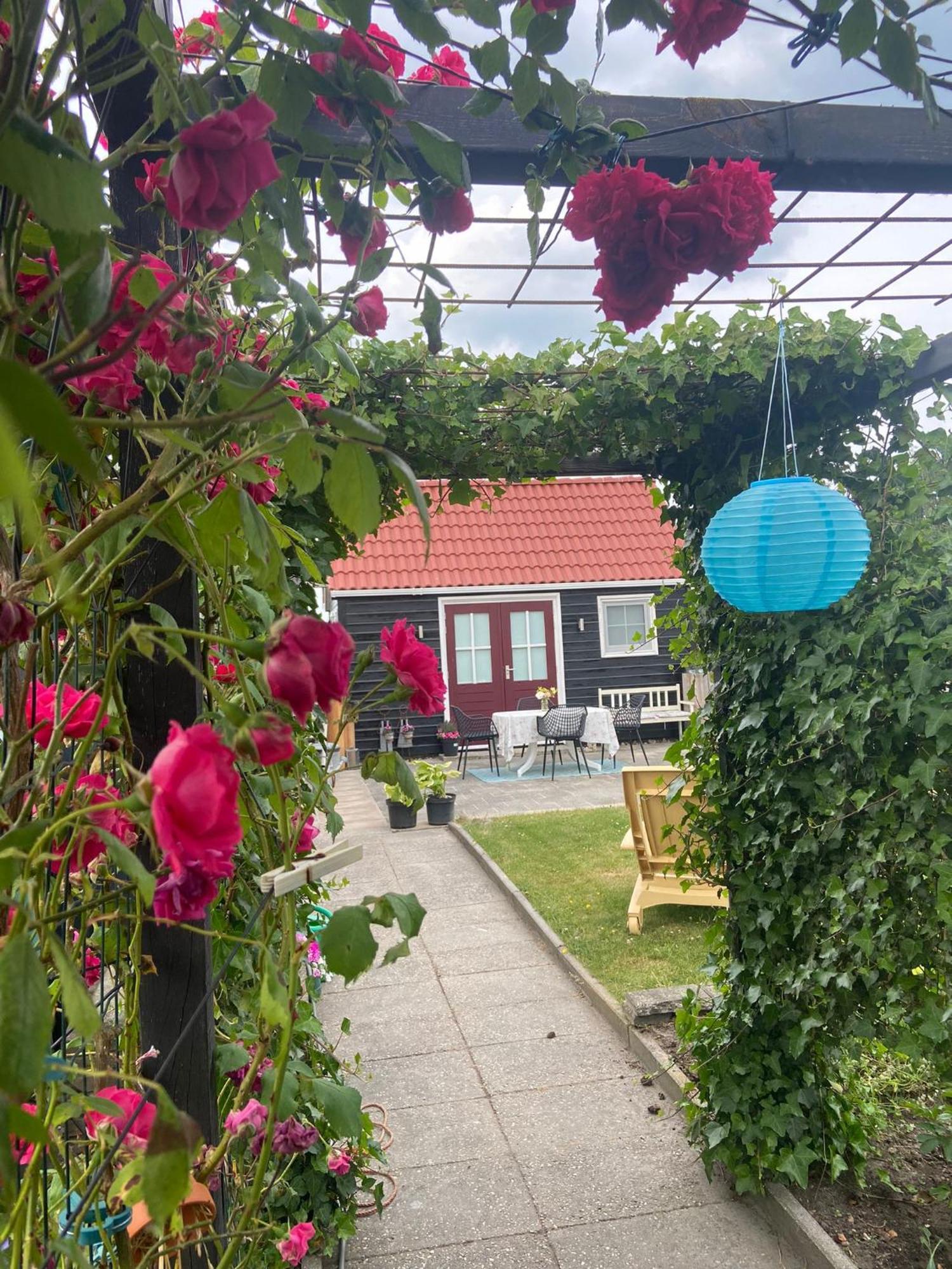 Bed En Brochje De Oase Bed & Breakfast Sweagerbosk Exterior photo